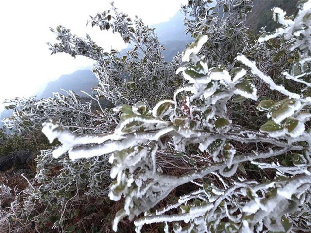 Không chỉ ở đỉnh Fansipan, Việt Nam cũng có nhiều địa điểm khác có thể săn tuyết rơi - Ảnh 8.