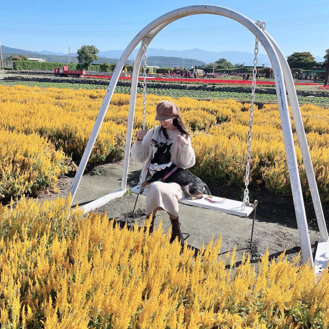 5 địa điểm chơi Tết nhẹ nhàng, lành mạnh ở Đài Loan (Trung Quốc) - Ảnh 10.