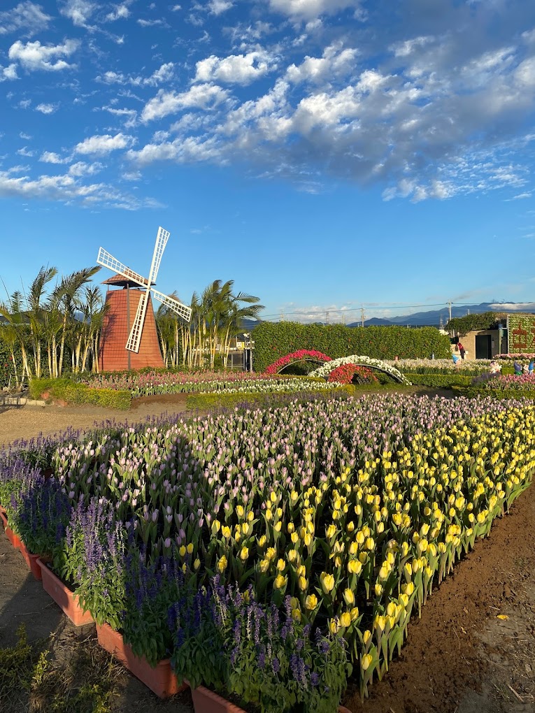 5 địa điểm chơi Tết nhẹ nhàng, lành mạnh ở Đài Loan (Trung Quốc) - Ảnh 14.