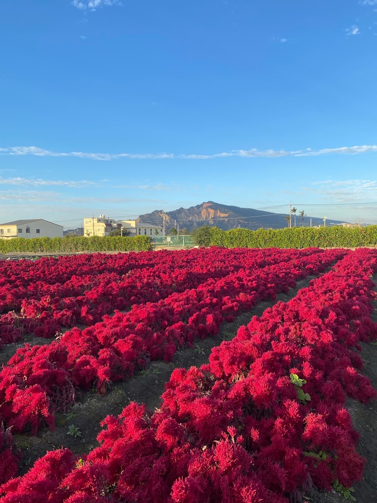 5 địa điểm chơi Tết nhẹ nhàng, lành mạnh ở Đài Loan (Trung Quốc) - Ảnh 13.