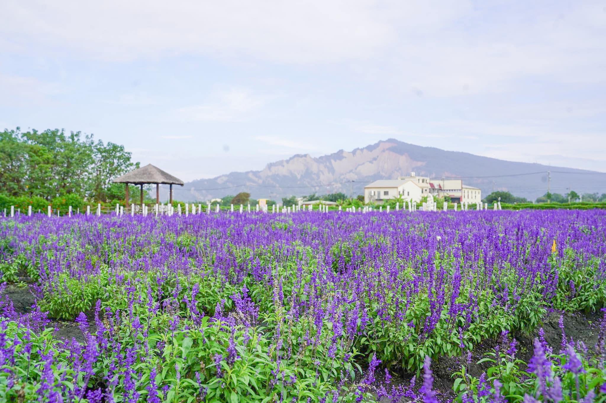 5 địa điểm chơi Tết nhẹ nhàng, lành mạnh ở Đài Loan (Trung Quốc) - Ảnh 12.