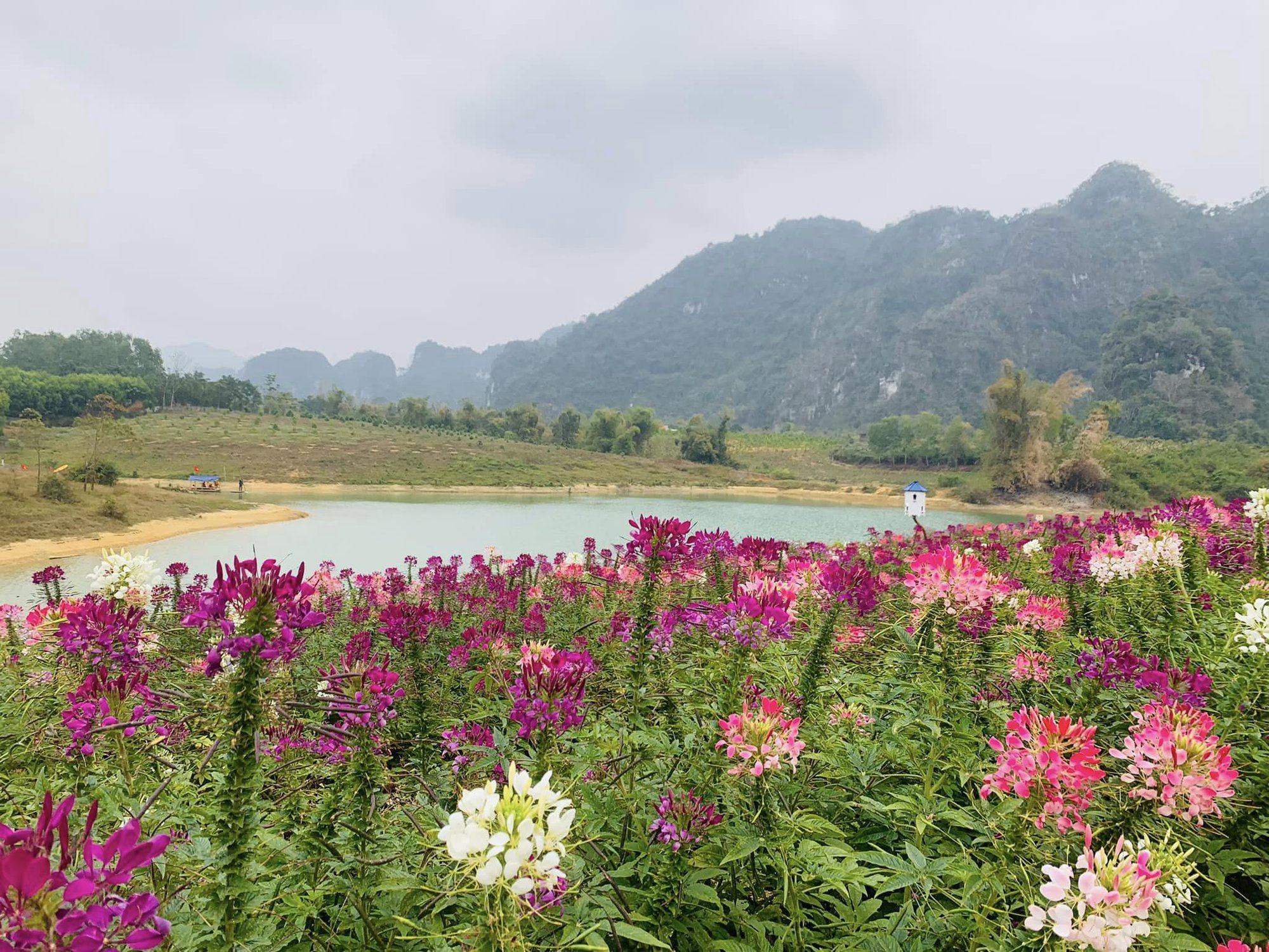 Hữu Lũng, Lạng Sơn - Điểm dã ngoại lý tưởng dịp Tết cho các gia đình - Ảnh 2.