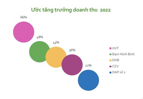 Loạt ông lớn hé lộ kết quả kinh doanh 2022 ấn tượng - Ảnh 3.