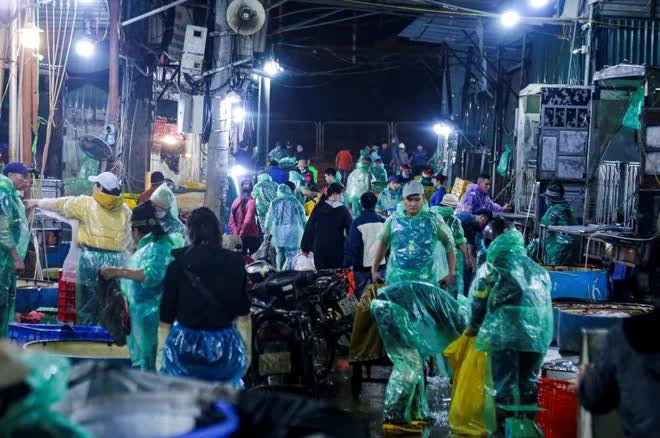 Chợ cá lớn nhất Hà Nội nhộn nhịp trước ngày đưa ông Công ông Táo về trời - Ảnh 11. Chợ cá lớn nhất Hà Nội nhộn nhịp trước ngày đưa ông Công ông Táo về trời - Ảnh 11.