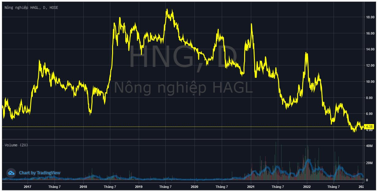 HAGL Agrico (HNG) xin gia hạn thời gian nộp BCTC quý 4/2022 - Ảnh 1.