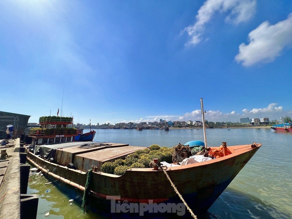 Trời vừa hửng nắng, tàu chạy hết công suất để kịp ‘chở Tết’ ra đảo Lý Sơn - Ảnh 16.