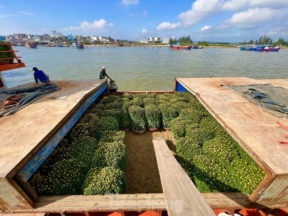 Trời vừa hửng nắng, tàu chạy hết công suất để kịp ‘chở Tết’ ra đảo Lý Sơn - Ảnh 13.