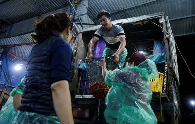 Chợ cá lớn nhất Hà Nội nhộn nhịp trước ngày đưa ông Công ông Táo về trời - Ảnh 7. Chợ cá lớn nhất Hà Nội nhộn nhịp trước ngày đưa ông Công ông Táo về trời - Ảnh 7.