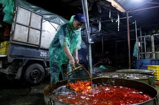 Chợ cá lớn nhất Hà Nội nhộn nhịp trước ngày đưa ông Công ông Táo về trời - Ảnh 3. Chợ cá lớn nhất Hà Nội nhộn nhịp trước ngày đưa ông Công ông Táo về trời - Ảnh 3.