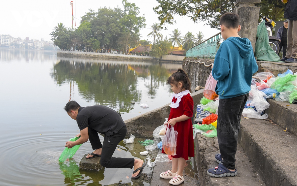 Cá chép tiễn ông Công ông Táo chết hàng loạt, sư thầy đi dọn rác ven hồ - Ảnh 11.