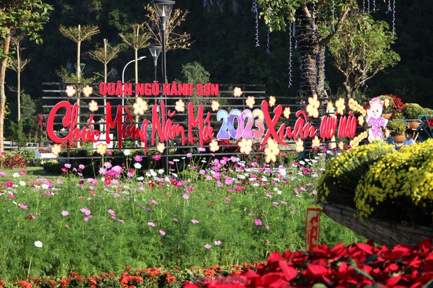 Young people in Da Nang are busy checking in to the spring flower garden at the foot of the Marble Mountains - Photo 5.
