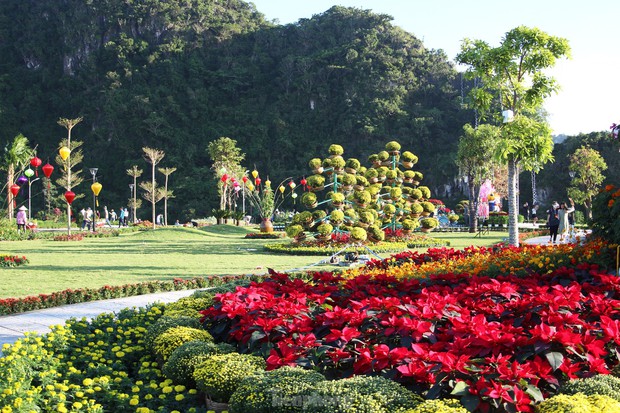 Young people in Da Nang are busy checking in to the spring flower garden at the foot of the Marble Mountains - Photo 4.