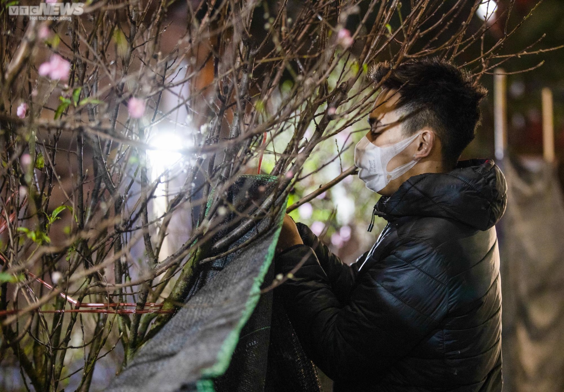 Tiểu thương trùm chăn dưới trời rét buốt, thấp thỏm trông cây cảnh qua đêm - Ảnh 4.