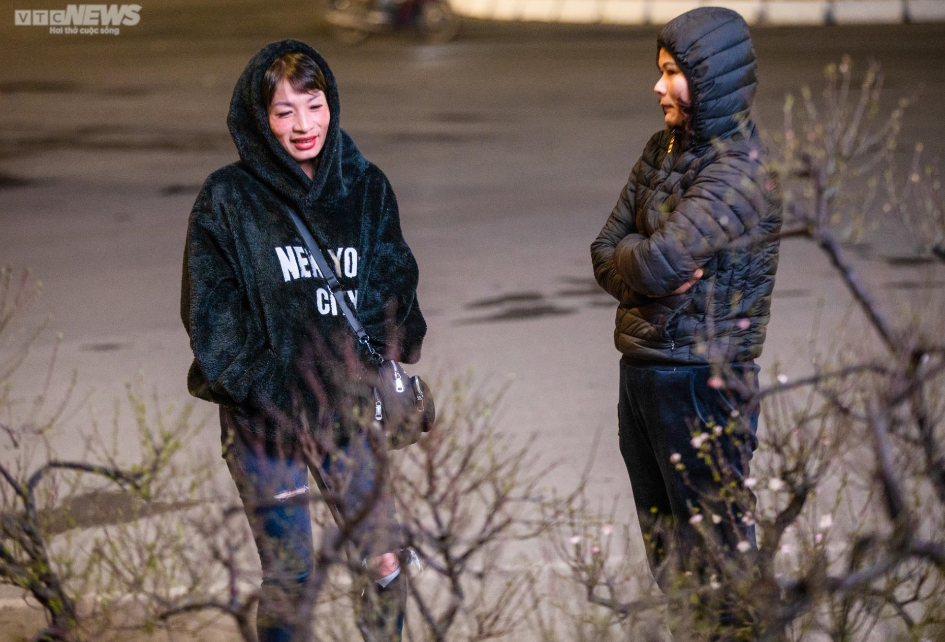 Tiểu thương trùm chăn dưới trời rét buốt, thấp thỏm trông cây cảnh qua đêm - Ảnh 9.