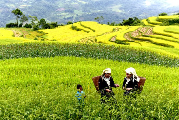 Có gì ở Na Hang, Tuyên Quang, nơi được du khách gọi là vùng cổ tích hoang sơ miền Đông Bắc - Ảnh 5.