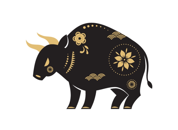 2023年に最も成功した5つの干支の動物で、幸運の神に積極的に求められています。この人は新年に印象的な収入を持っています - 写真4.