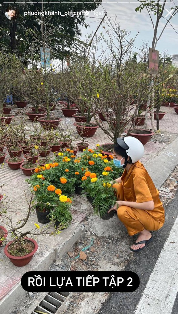 Tết nhà sao Việt: Á hậu Mâu Thuỷ tậu chậu mai cao 2 mét, vợ chồng Cường Đô La - Đàm Thu Trang chưng mai đào quất kín nhà - Ảnh 20.