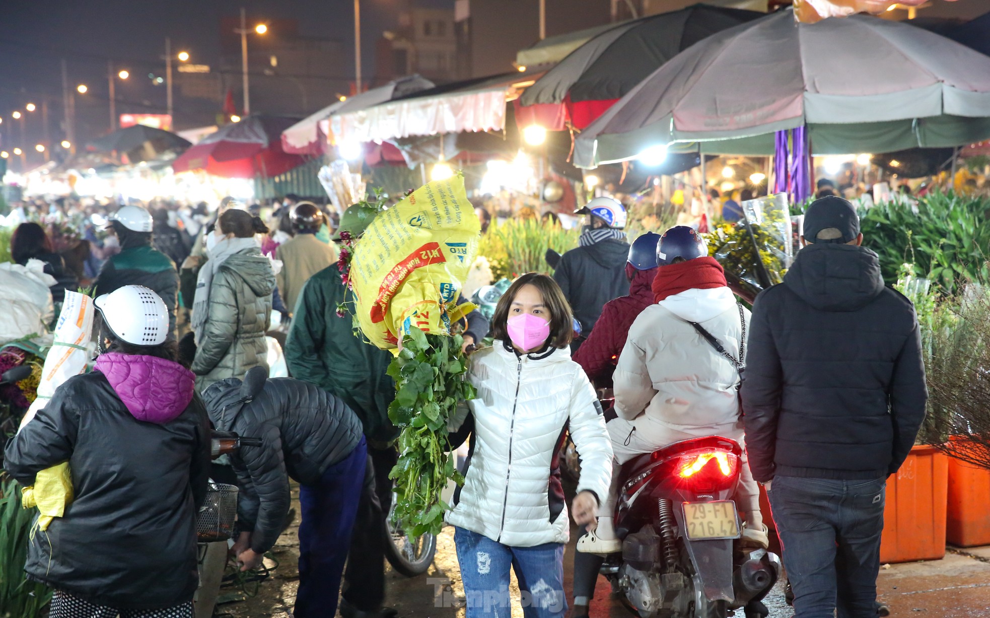Đêm không ngủ ở chợ hoa lớn nhất Hà Nội giáp Tết - Ảnh 11.