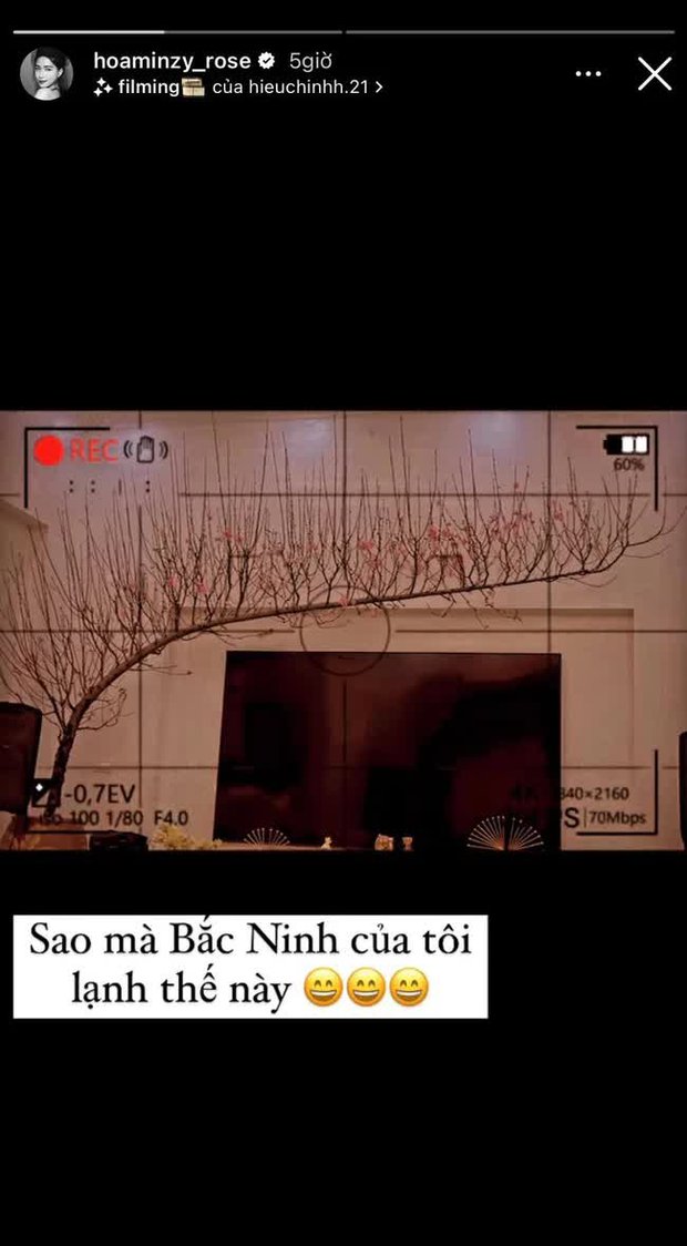 Tết nhà sao Việt: Á hậu Mâu Thuỷ tậu chậu mai cao 2 mét, vợ chồng Cường Đô La - Đàm Thu Trang chưng mai đào quất kín nhà - Ảnh 15.