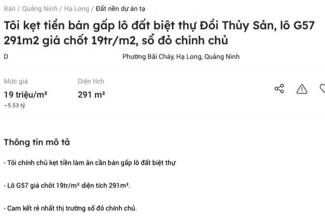 Đất nền ven biển “xả” mạnh, nhiều lô đất cắt lỗ 40% - Ảnh 1.