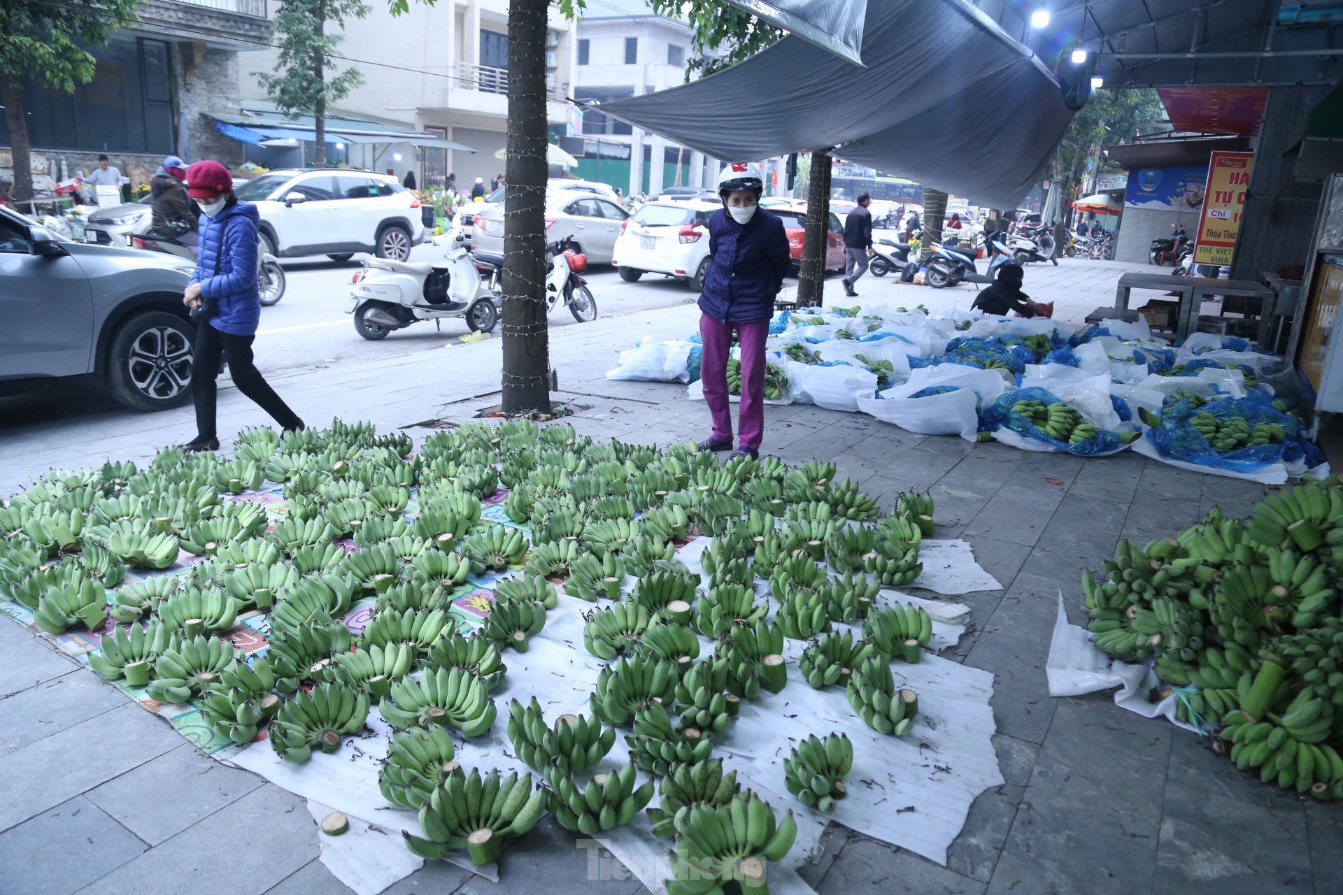 400.000 đồng/nải chuối xanh Tết, tiểu thương đếm quả lấy tiền - Ảnh 1. 400.000 đồng/nải chuối xanh Tết, tiểu thương đếm quả lấy tiền - Ảnh 1.