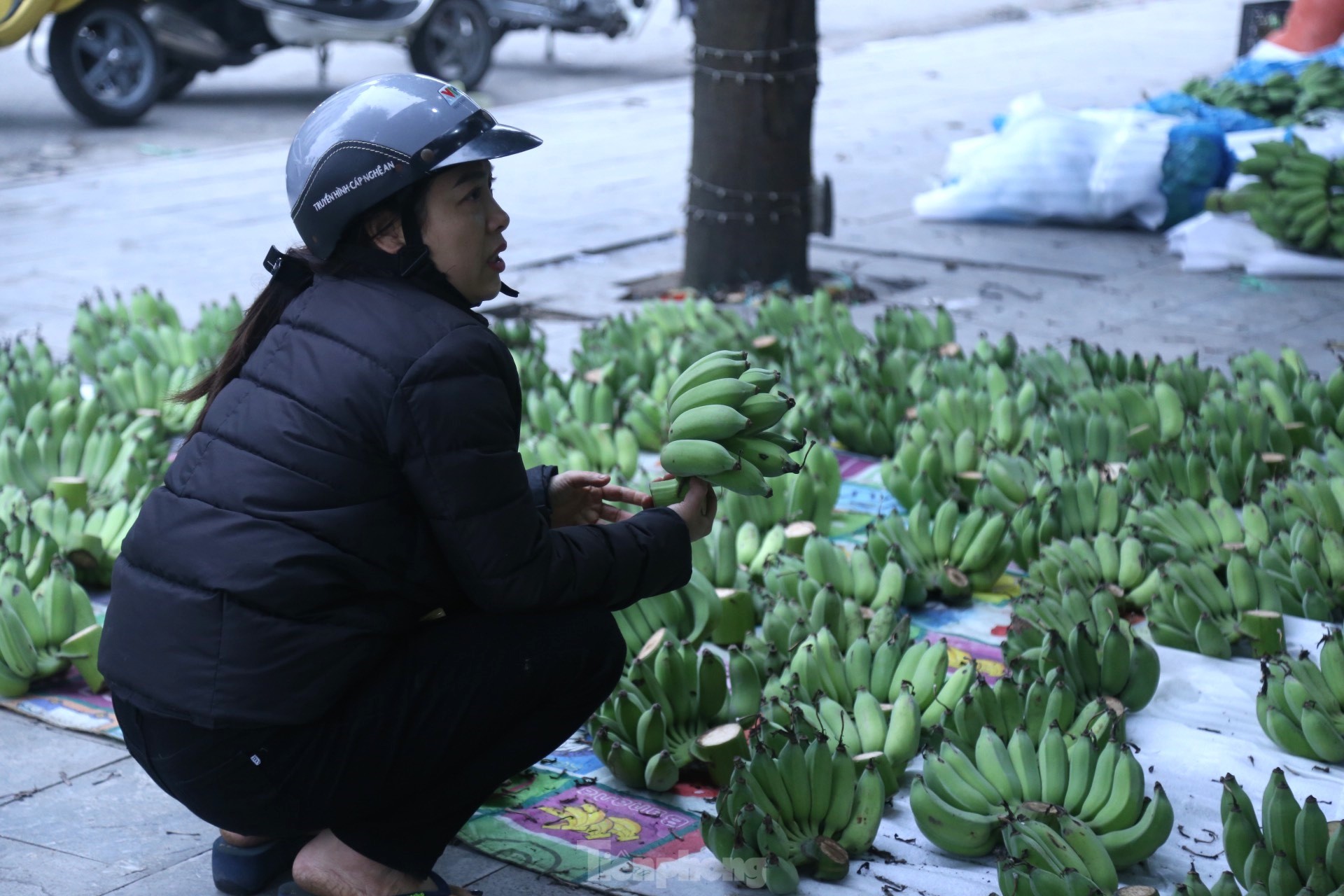 400.000 đồng/nải chuối xanh Tết, tiểu thương đếm quả lấy tiền - Ảnh 9. 400.000 đồng/nải chuối xanh Tết, tiểu thương đếm quả lấy tiền - Ảnh 9.