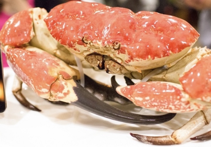 Những thú chơi đốt tiền tỷ ngày Tết của nhà giàu Việt - Ảnh 3. Những thú chơi đốt tiền tỷ ngày Tết của nhà giàu Việt - Ảnh 3.