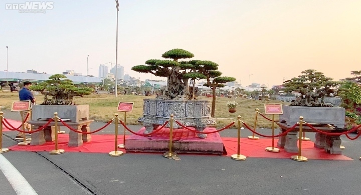 Những thú chơi đốt tiền tỷ ngày Tết của nhà giàu Việt - Ảnh 2. Những thú chơi đốt tiền tỷ ngày Tết của nhà giàu Việt - Ảnh 2.