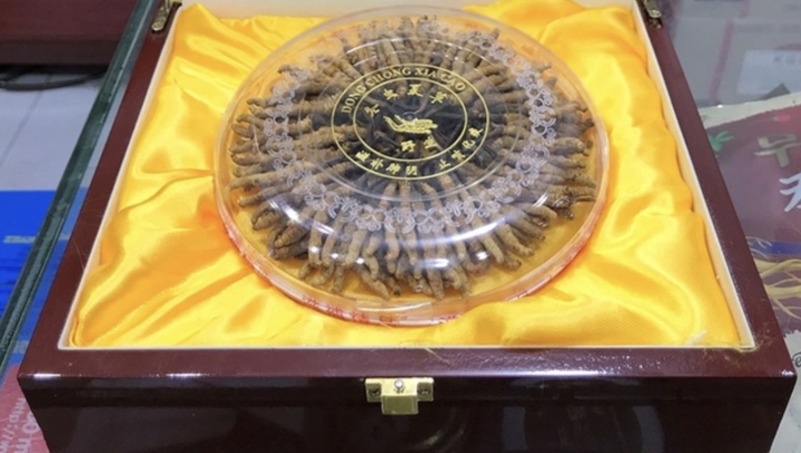 Những thú chơi đốt tiền tỷ ngày Tết của nhà giàu Việt - Ảnh 1. Những thú chơi đốt tiền tỷ ngày Tết của nhà giàu Việt - Ảnh 1.