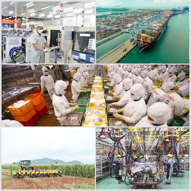 Độc lập, tự chủ kinh tế: Doanh nghiệp Việt Nam phải mạnh, làm nền tảng và dẫn dắt nền kinh tế - Ảnh 3.