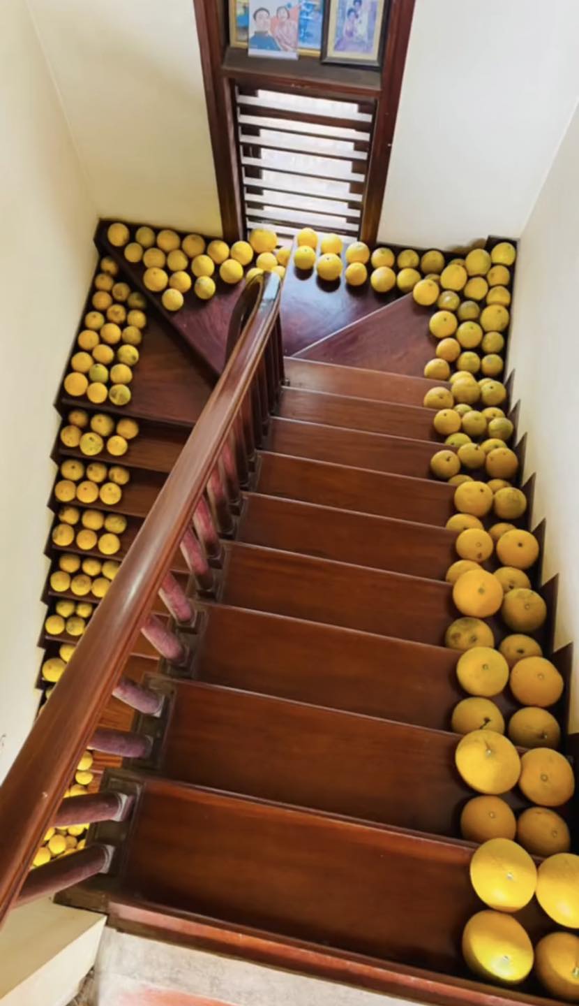 Cảnh tượng ở nhiều gia đình miền Bắc ngày Tết: Bưởi chất khắp nơi khiến ai cũng choáng ngợp và lý do thú vị phía sau - Ảnh 5.