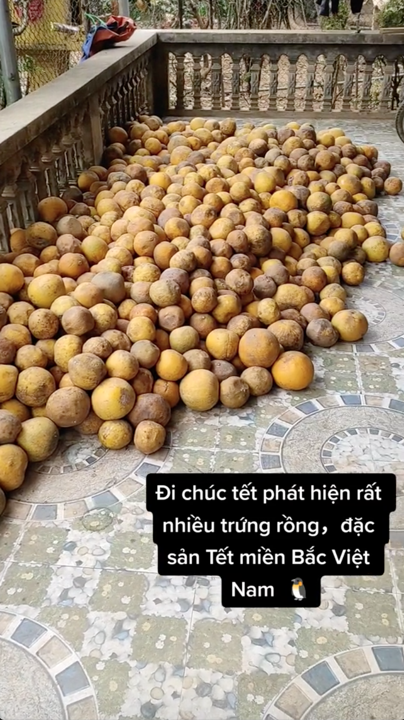 Cảnh tượng ở nhiều gia đình miền Bắc ngày Tết: Bưởi chất khắp nơi khiến ai cũng choáng ngợp và lý do thú vị phía sau - Ảnh 2.