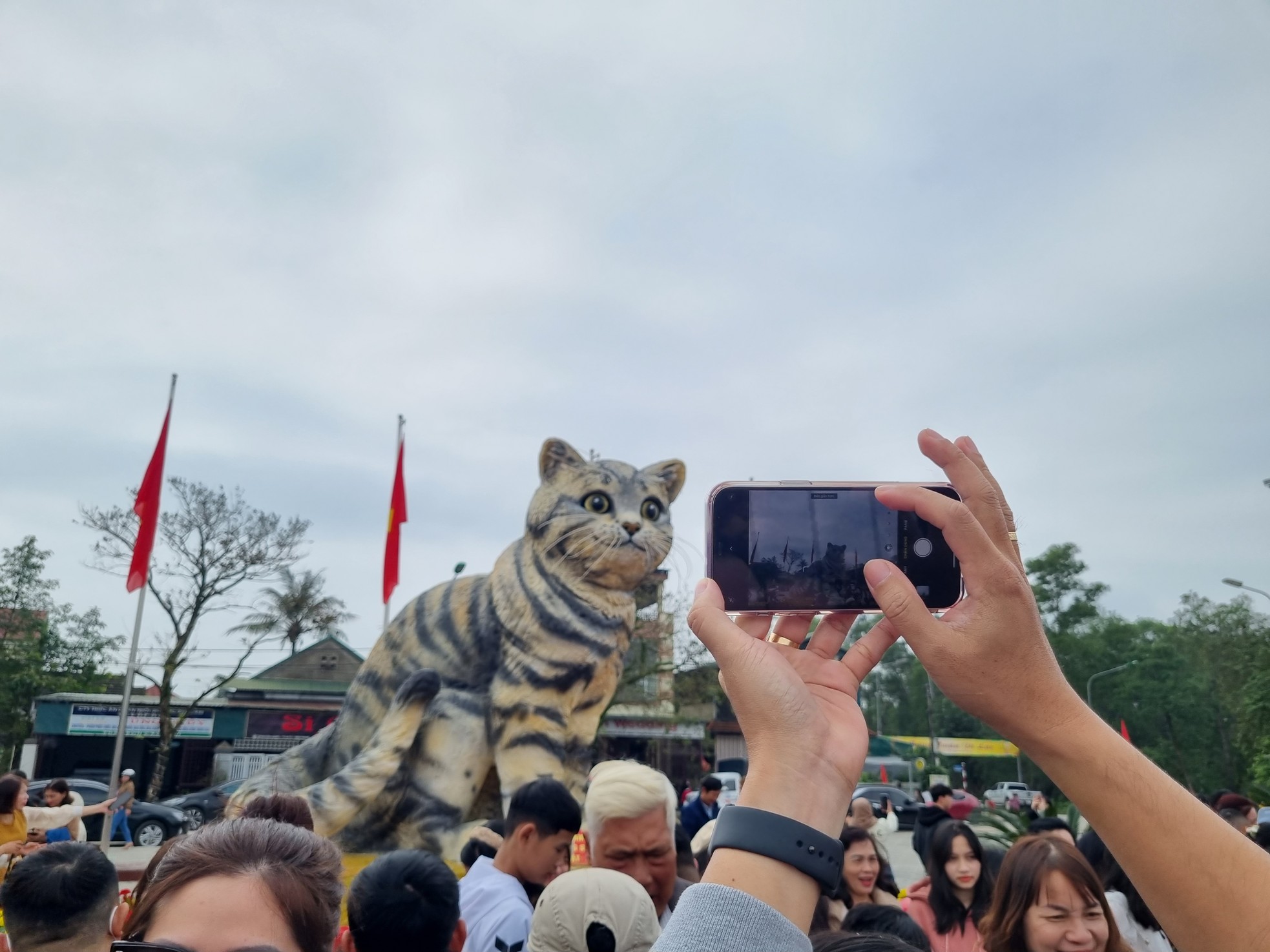 Mồng 5 tết, hoa hậu mèo Quảng Trị vẫn hút đông người tới chụp hình - Ảnh 6.
