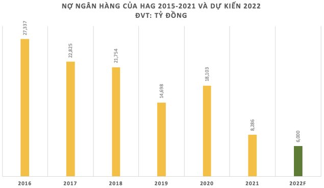 Đằng sau việc Hoàng Anh Gia Lai (HAG) chưa thể trả nợ đúng hạn - Ảnh 2.