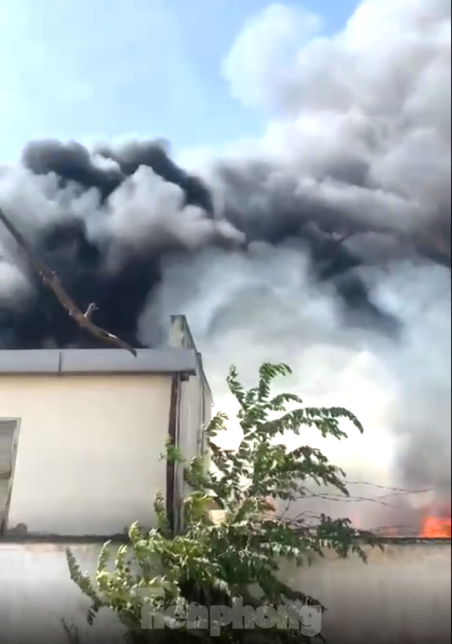 Cháy lớn tại công ty gỗ ở Bình Dương, khói bốc cao cuồn cuộn - Ảnh 1.