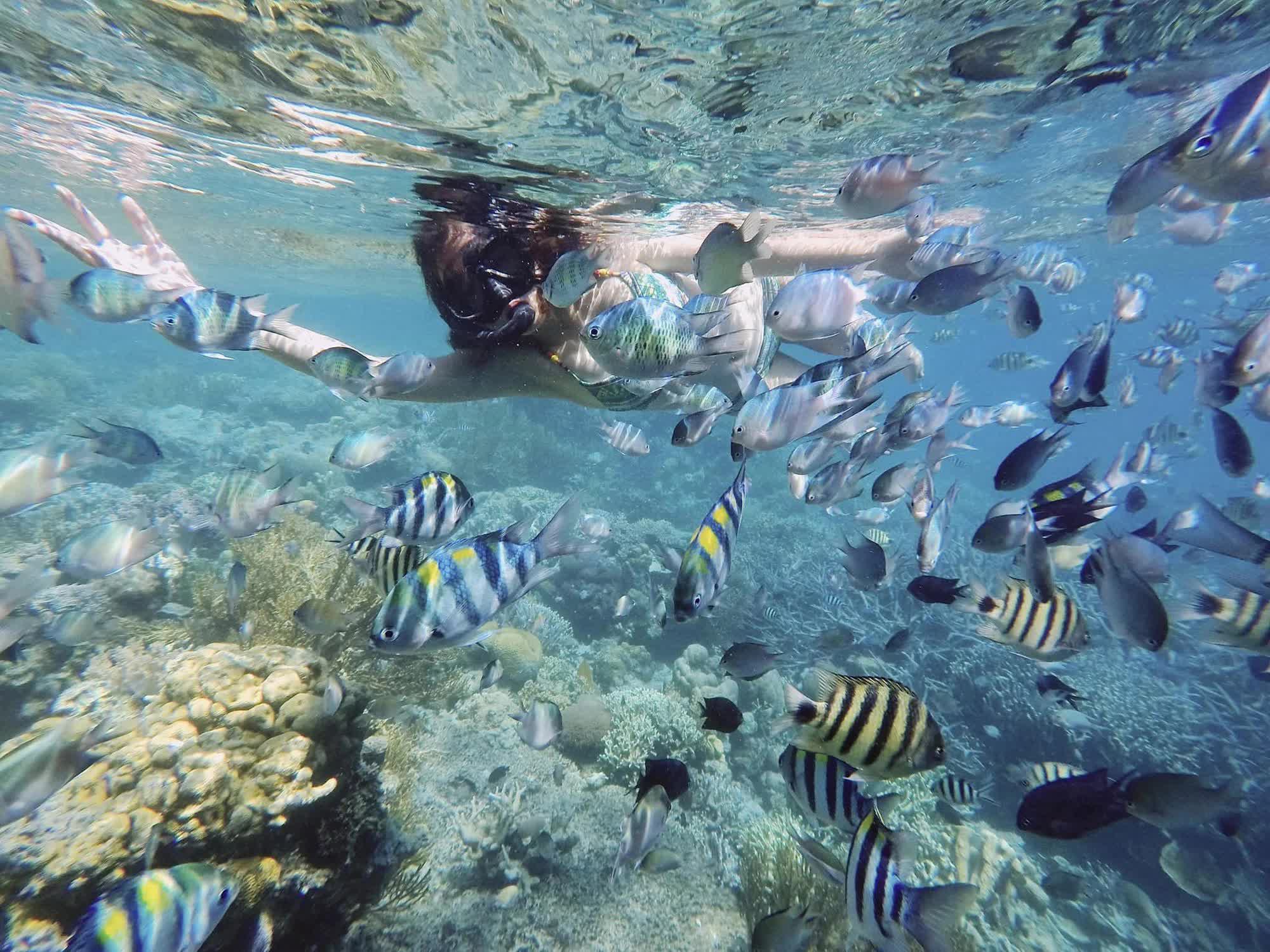 Cô gái gây choáng khi tổng kết số tiền du lịch trong 1 năm: ”Chi phí có thể mua được căn nhà nhỏ” - Ảnh 6.