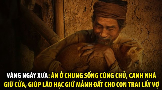 Hài hước những kiểu mua vàng gây sốt mạng xã hội ngày vía Thần tài - Ảnh 10.