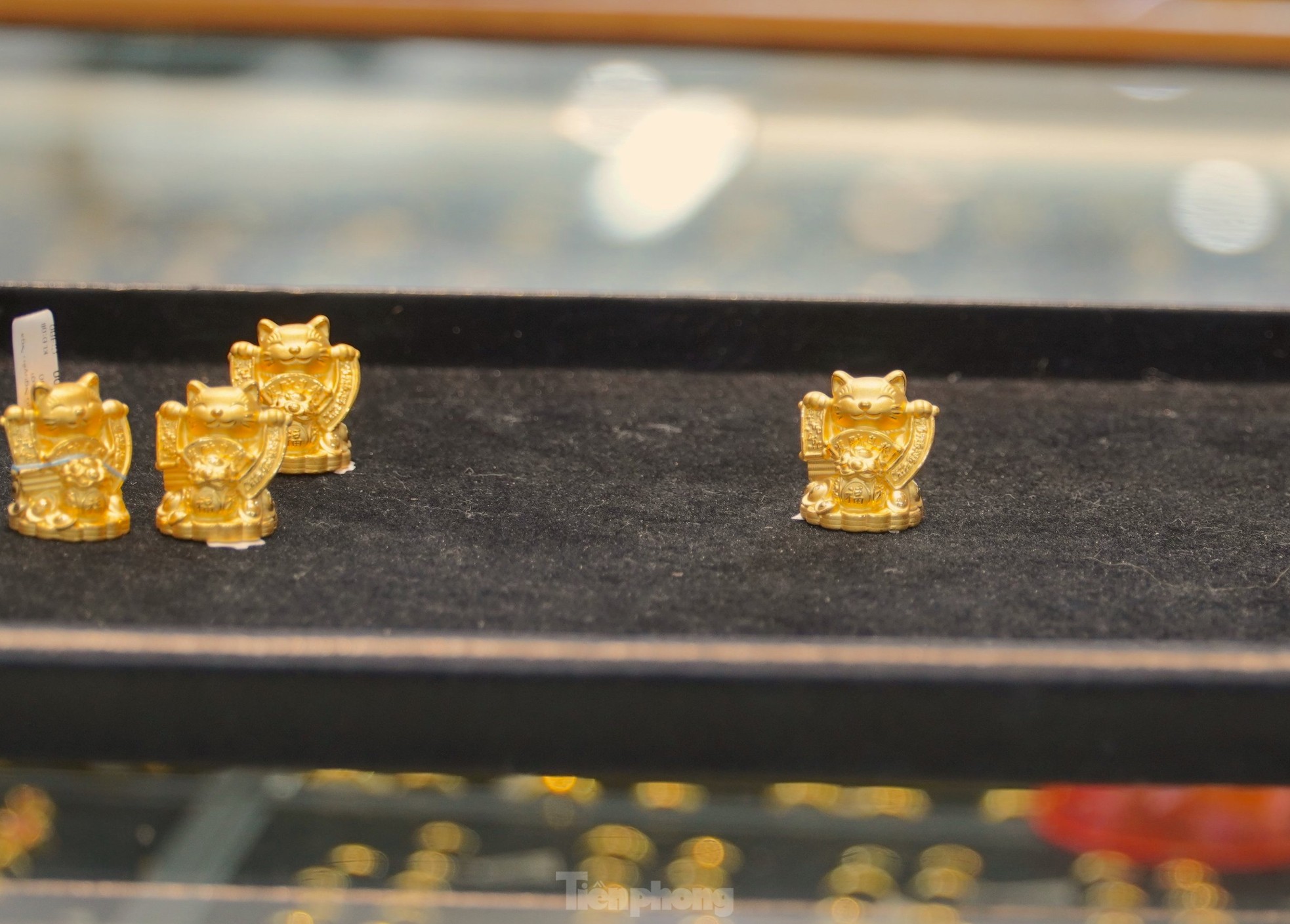 Rầm rập chốt đơn, đặt cọc mua mèo vàng tài lộc lấy vía Thần tài - Ảnh 8. Rầm rập chốt đơn, đặt cọc mua mèo vàng tài lộc lấy vía Thần tài - Ảnh 8.