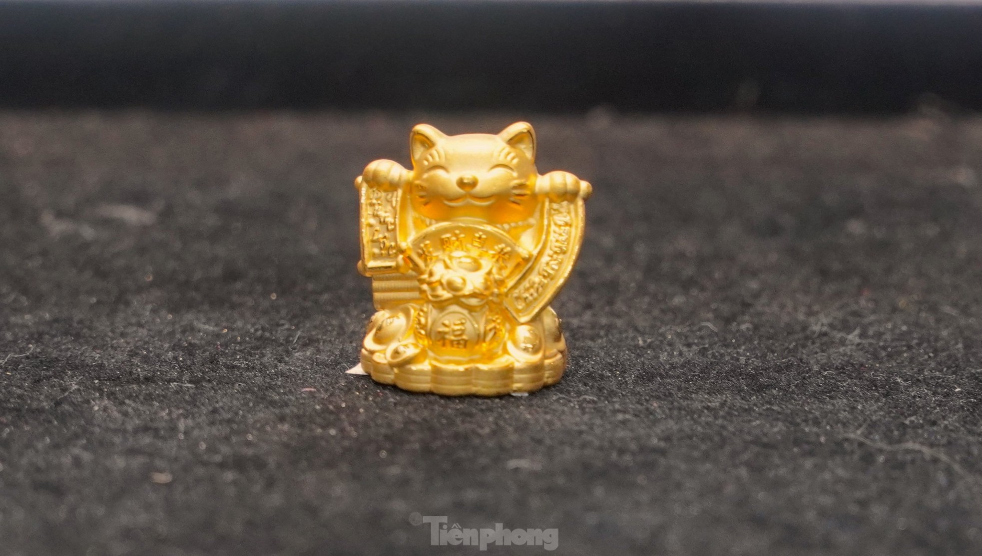 Rầm rập chốt đơn, đặt cọc mua mèo vàng tài lộc lấy vía Thần tài - Ảnh 6. Rầm rập chốt đơn, đặt cọc mua mèo vàng tài lộc lấy vía Thần tài - Ảnh 6.