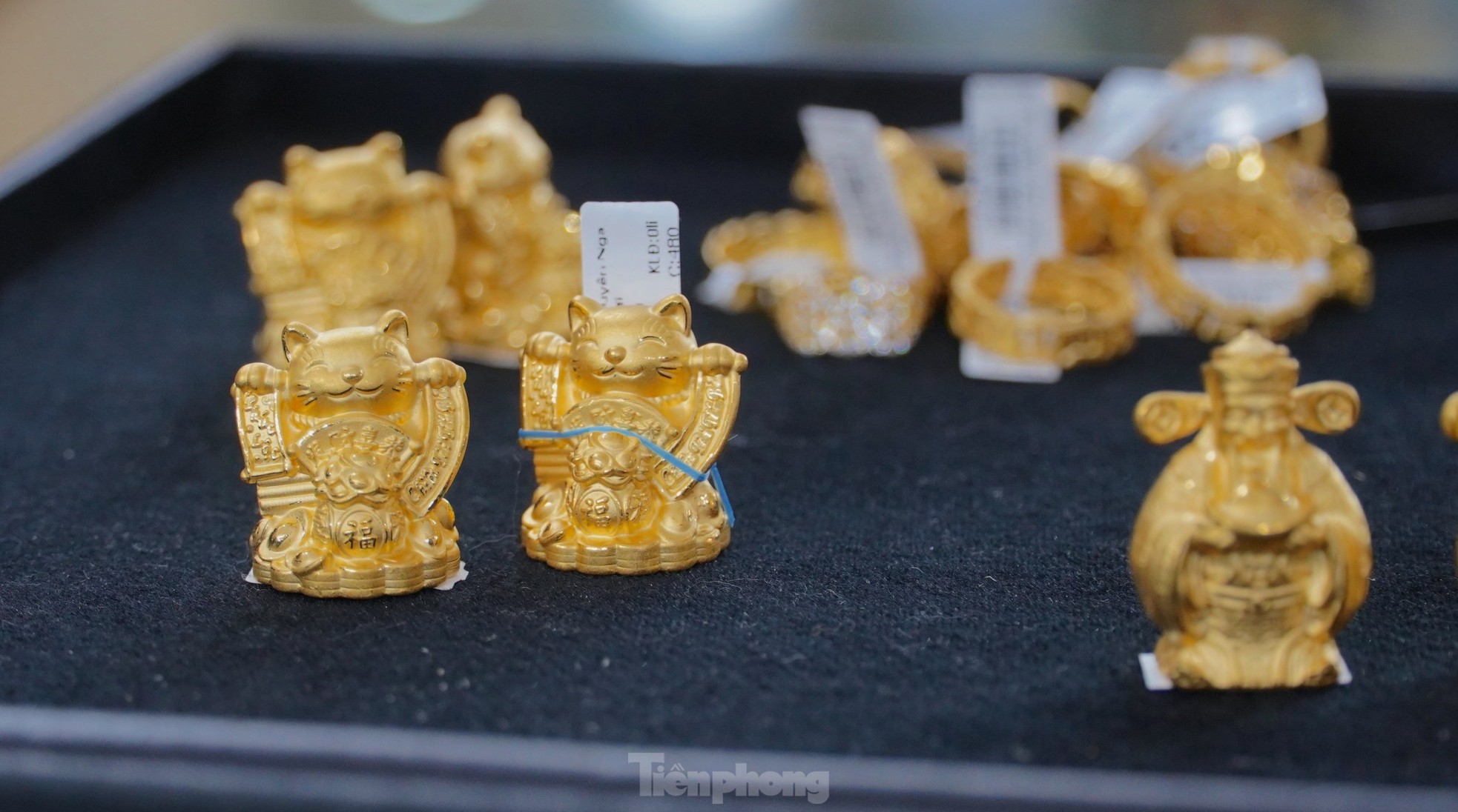 Rầm rập chốt đơn, đặt cọc mua mèo vàng tài lộc lấy vía Thần tài - Ảnh 5. Rầm rập chốt đơn, đặt cọc mua mèo vàng tài lộc lấy vía Thần tài - Ảnh 5.