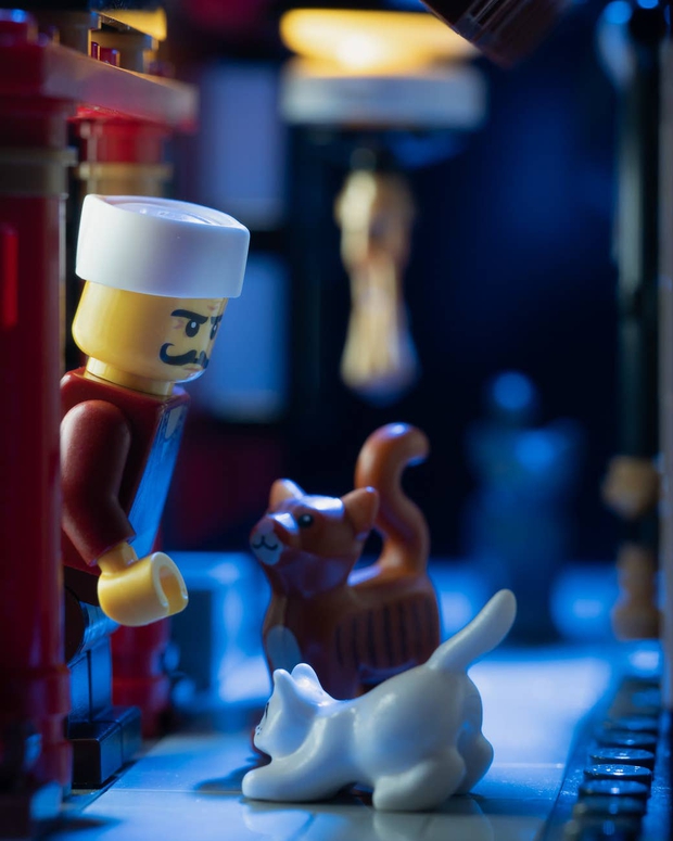 Nhiếp ảnh gia cho Lego: Công việc trong mơ với những người đam mê trò chơi xếp hình đầy sáng tạo - Ảnh 15.