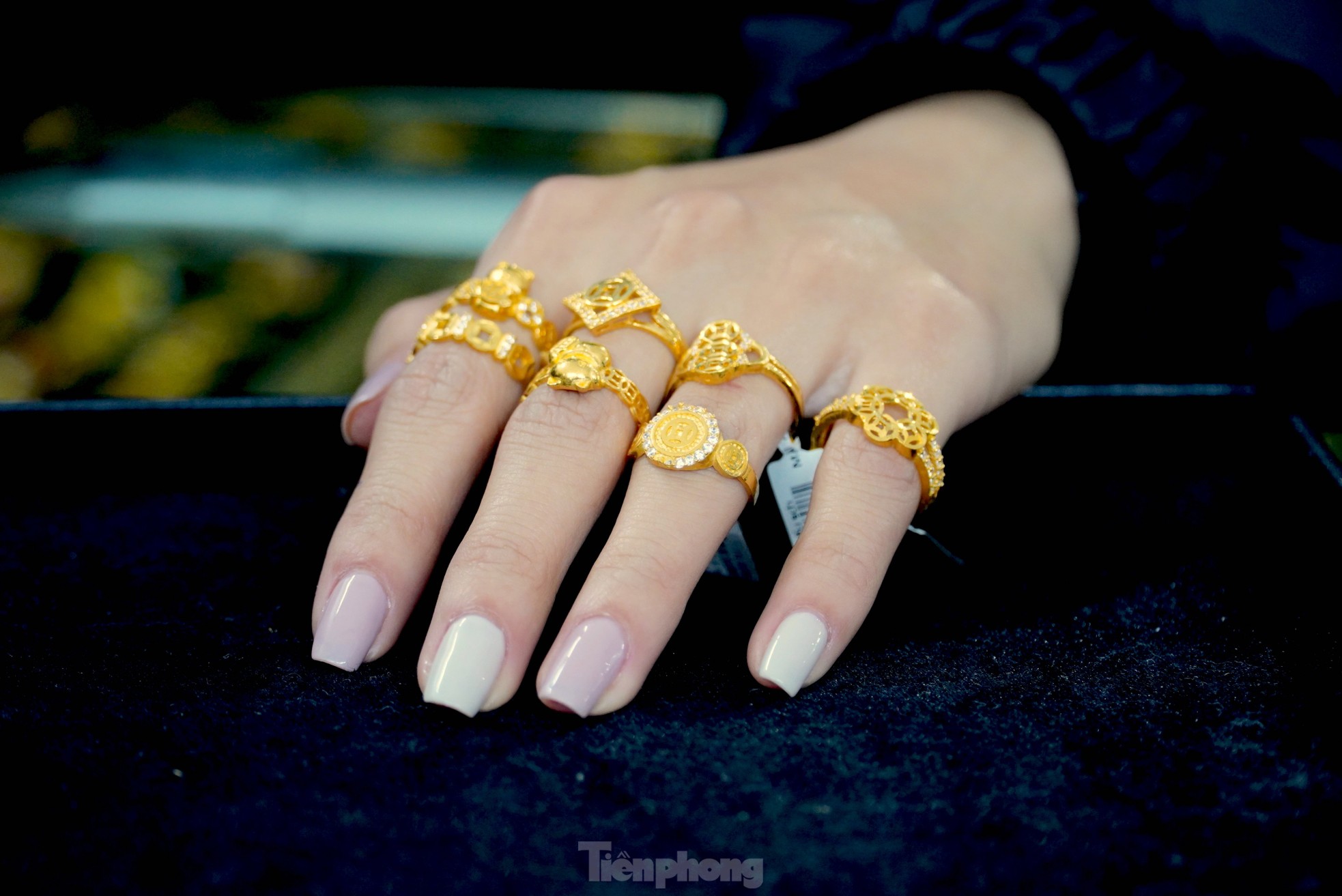 Rầm rập chốt đơn, đặt cọc mua mèo vàng tài lộc lấy vía Thần tài - Ảnh 3. Rầm rập chốt đơn, đặt cọc mua mèo vàng tài lộc lấy vía Thần tài - Ảnh 3.