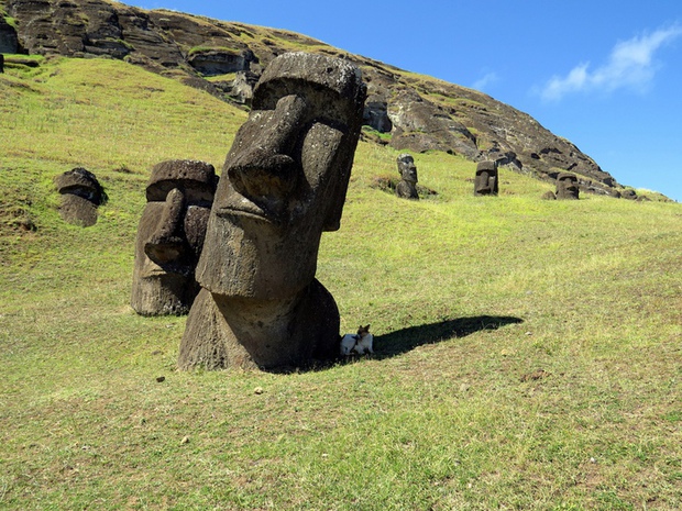 El Gigante: Bức tượng Moai bí ẩn nhất trên đảo Phục Sinh - Ảnh 3.