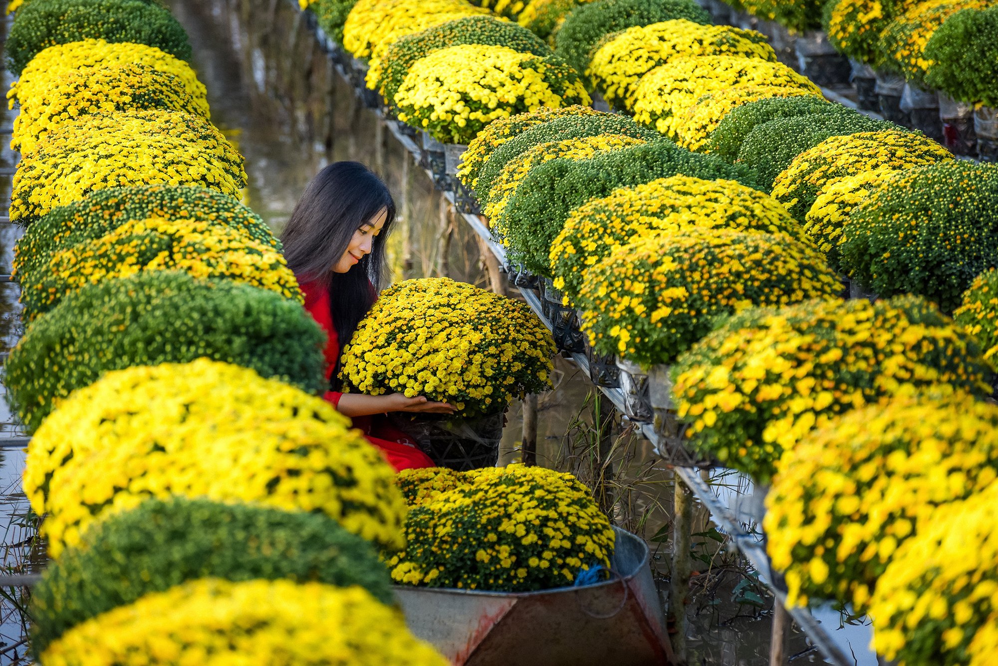 Những địa điểm đẹp ở Việt Nam khiến dân tình hối hả lên đồ chụp hình đón xuân - Ảnh 4.