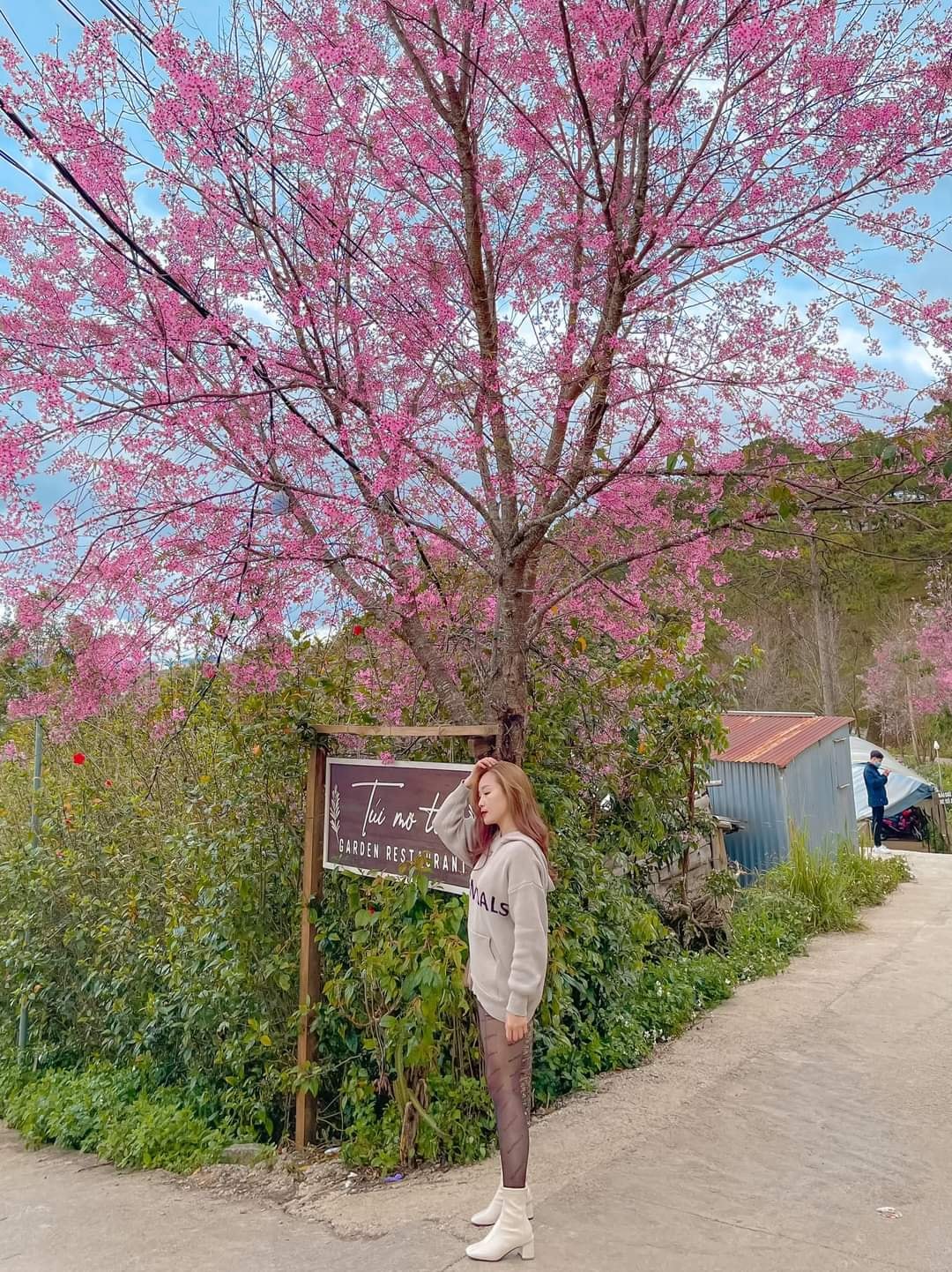 Những địa điểm đẹp ở Việt Nam khiến dân tình hối hả lên đồ chụp hình đón xuân - Ảnh 15.