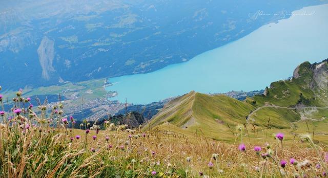 Khung cảnh khiến bao trái tim thổn thức của thiên đường giáng thế Thụy Sĩ: Ai cũng mong một lần được ngắm tận mắt - Ảnh 17.