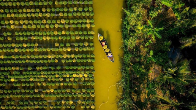 Làng hoa Sa Đéc rực rỡ đón Tết, nhiều người rục rịch lên kế hoạch đến “sống ảo” và ngắm muôn loài hoa - Ảnh 3.