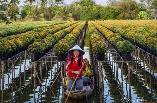 Làng hoa Sa Đéc rực rỡ đón Tết, nhiều người rục rịch lên kế hoạch đến “sống ảo” và ngắm muôn loài hoa - Ảnh 16.