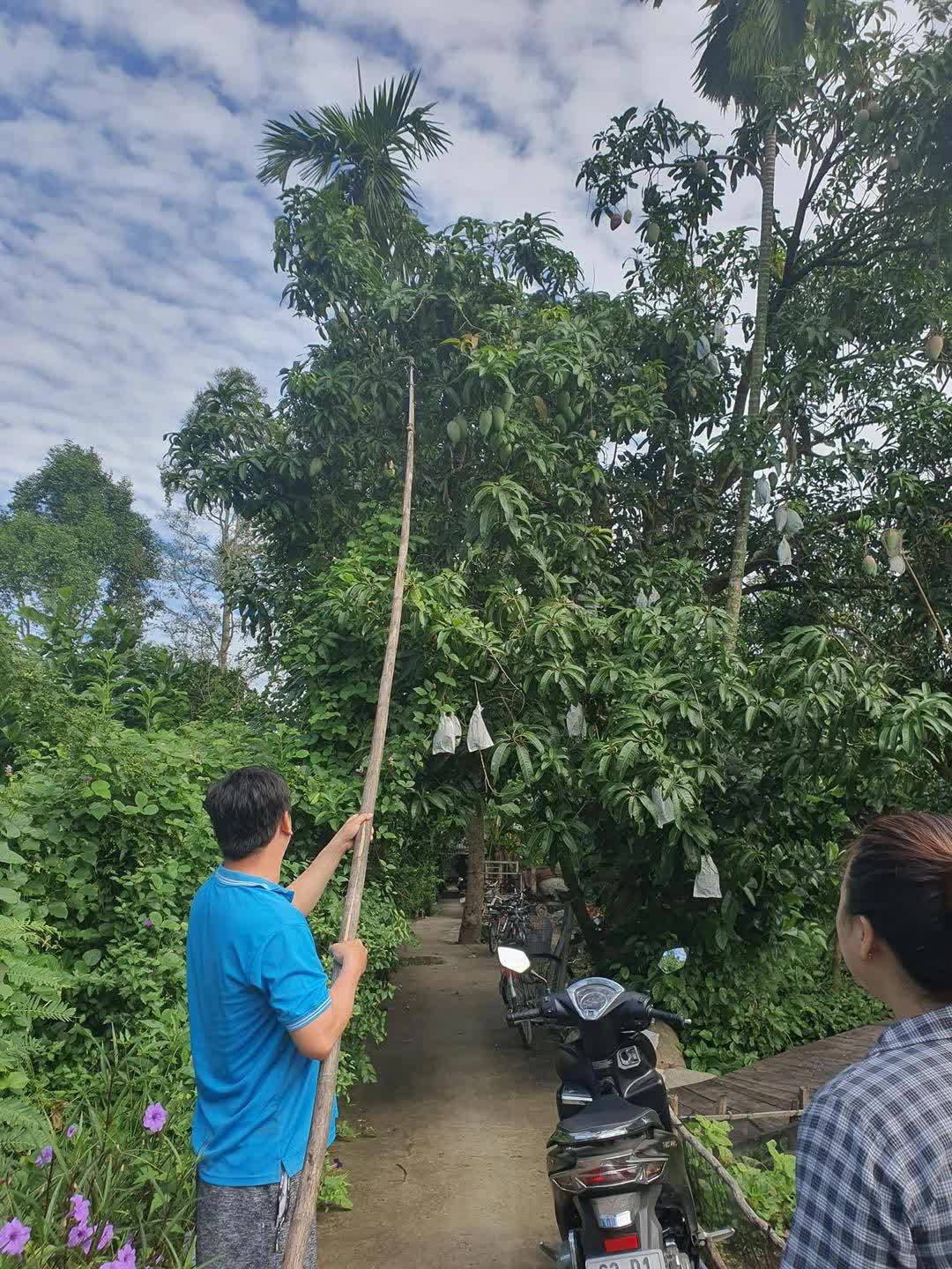 Diễn viên Vân Trang sở hữu khu du lịch tại Tiền Giang gây bất ngờ với cách đặt tên phòng, đưa nhiều người nổi tiếng về diễn tiếp đãi khách - Ảnh 23.