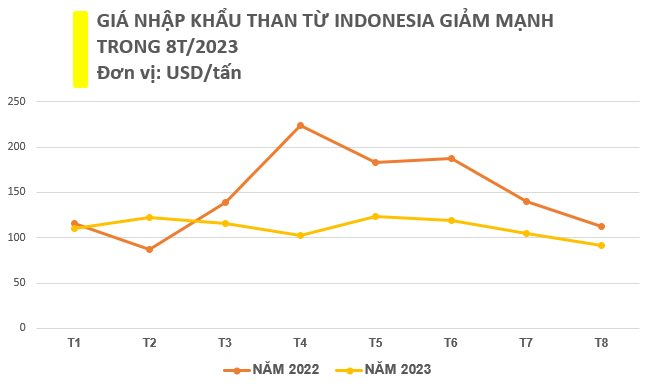 Giá rẻ kỷ lục, Việt Nam chớp “cơ hội vàng” chi hơn 1,4 tỷ USD nhập khẩu mặt hàng này từ Indonesia, sản lượng trong 8 tháng vượt cả năm 2022 cộng lại - Ảnh 3.